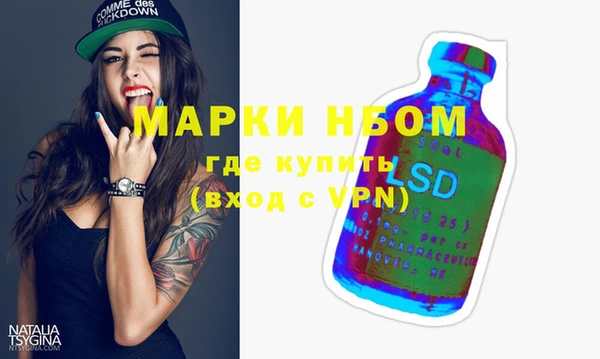хмурый Алексин