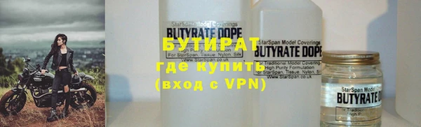 хмурый Алексин