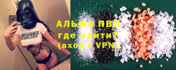 PSILOCYBIN Алзамай