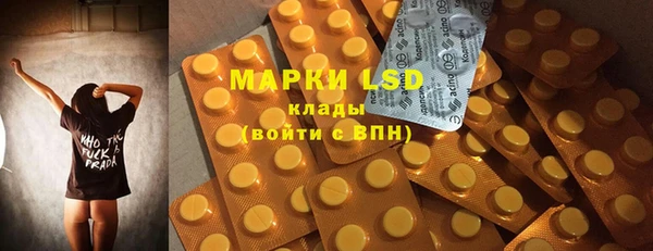 PSILOCYBIN Алзамай