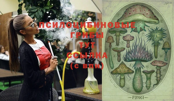 PSILOCYBIN Алзамай