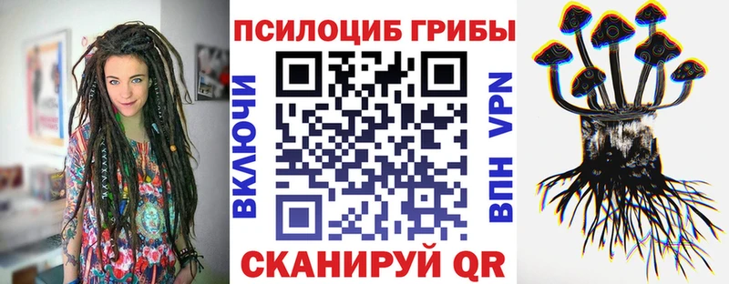 Купить  Шадринск  Псилоцибиновые грибы мицелий 